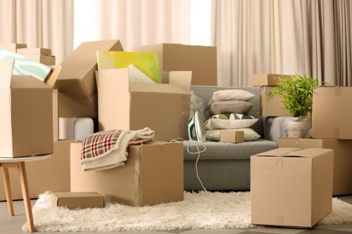 Packing services and moving boxes for a Richmond relocation