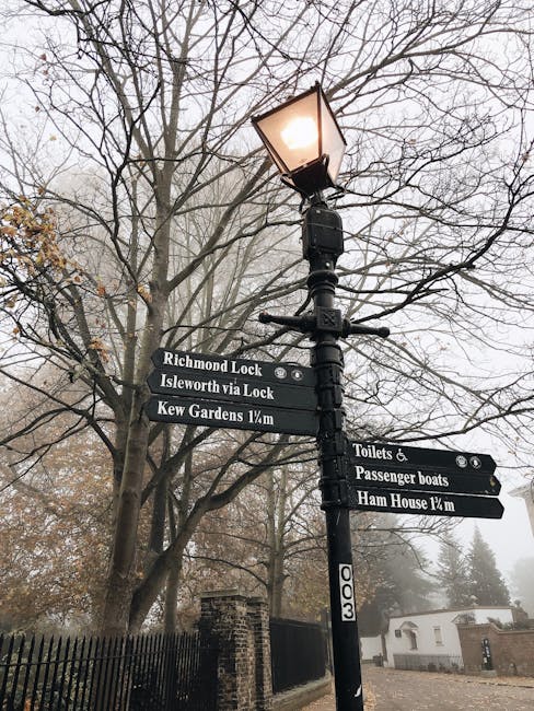 A black metal street lamp with a glowing light at the top, mounted on a tall pole, is situated next to a leafless tree with bare branches extending into a foggy sky. Attached to the pole are multiple